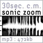 Sonic Zoom image