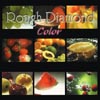 Rough Diamond insert card front